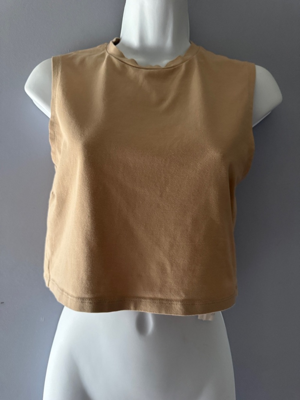 Zara Sleeveless Crop Top - Camel Brown L